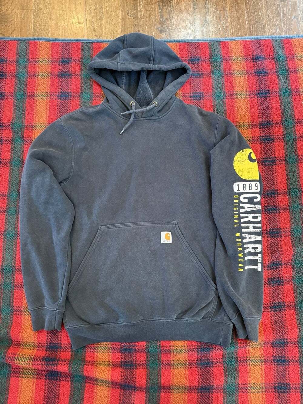 Carhartt 1889 Original Workwear Sleeve Print Pullover Hoodie